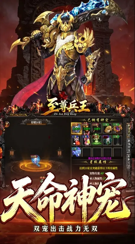 至尊兵王(天命神宠绿色版)